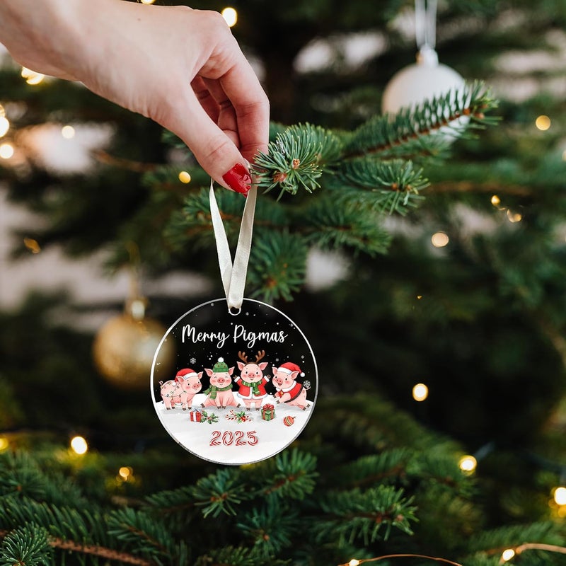 TEEBIM Pig Christmas Ornament - Pig Lover Gifts for Women, Men - Farm Animals Ornaments for Christmas Tree - Cute Farm Animal Gifts for Women, Men, Lovers - Acrylic Hanging Ornament 2025 - Image 5